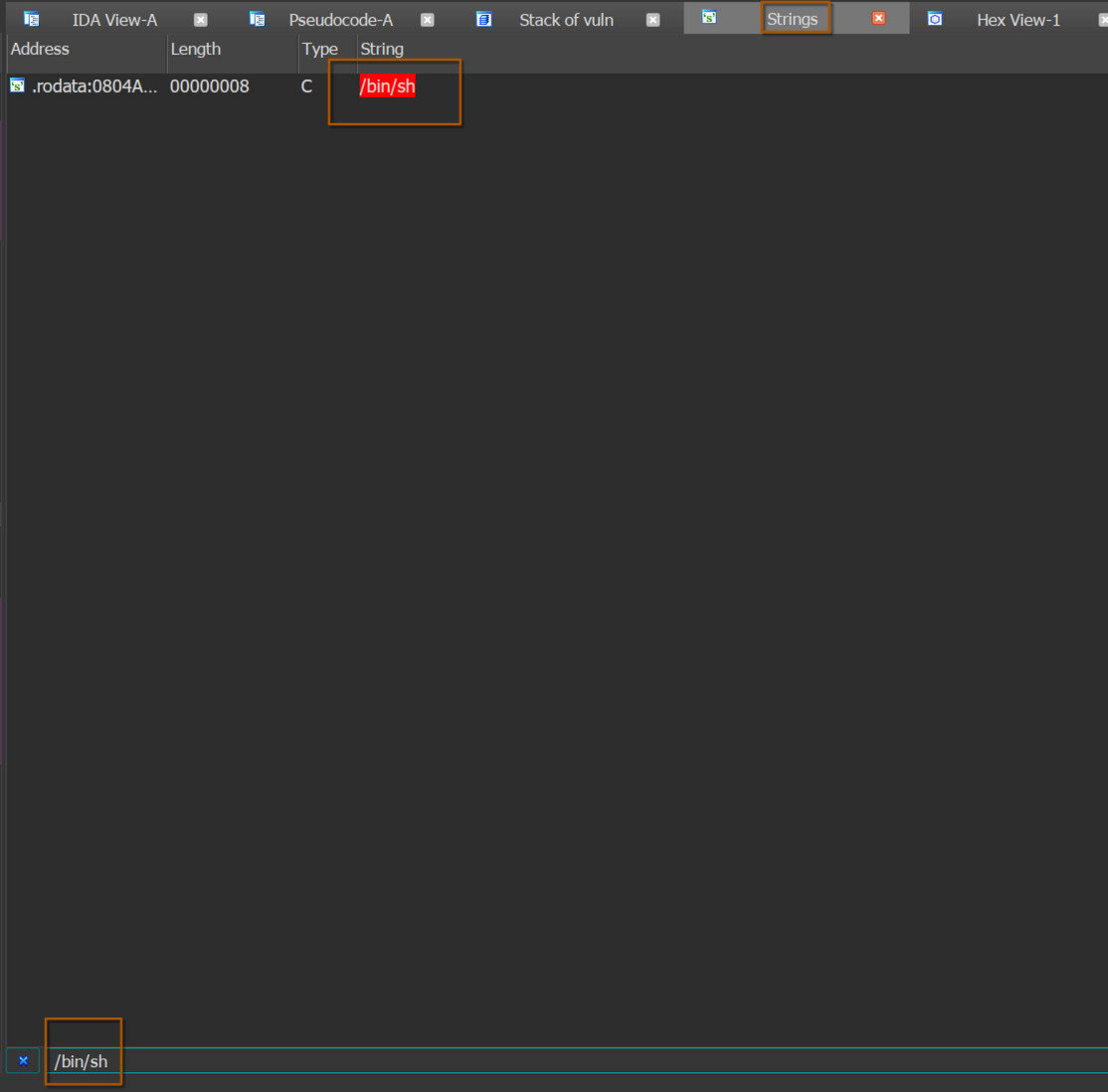 ret2text_String_window